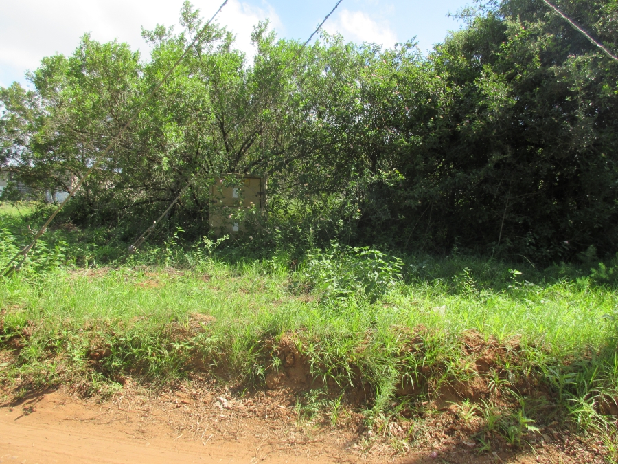 0 Bedroom Property for Sale in Bathurst Eastern Cape